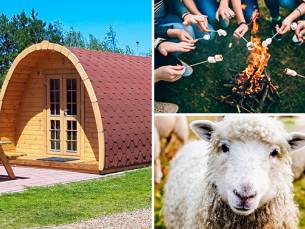 4 overnachtingen voor het hele gezin in een pod