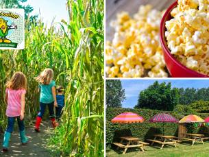 Entree maisdoolhof + popcorn + pakje drinken, koffie of thee