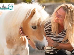 Individuele coachingsessie met paarden (60 of 90 min)
