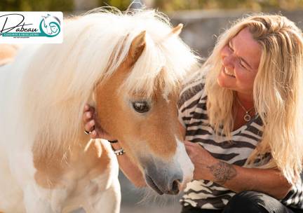 Individuele coachingsessie met paarden (60 of 90 min)