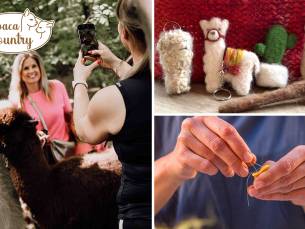 Creatieve workshop naaldvilten met alpacawol (2,5 uur) + meet & feed + meer