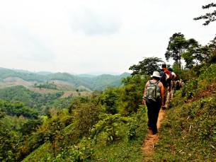 Chiang Mai Jungle Trekking