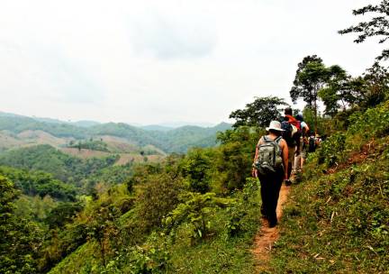 Chiang Mai Jungle Trekking