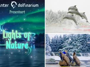 Entree voor het Dolfinarium