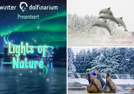 Entree voor het Dolfinarium