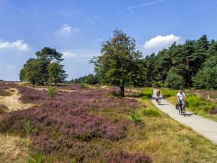 MINIVAKANTIE 3=2 SPECIAL! ???? LUXE hotel aan de voet van de Veluwe in Wageningen incl. ontbijt, bitterballen, sweet treats & RITUALS producten in de kamer!