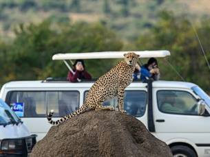 Safari Kenia Highlights Deluxe