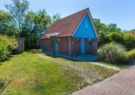 Type I - nr. 51 Goudplevier
