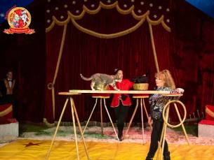 Entree Circus Barani