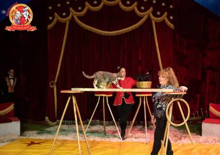 Entree Circus Barani
