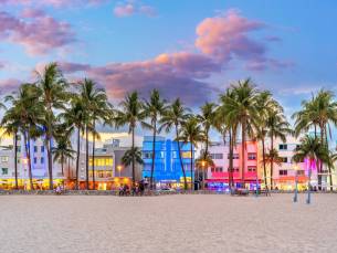 Florida Sunshine