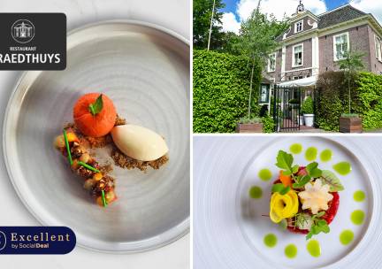 10-gangenmenu bij sterrenrestaurant 't Raedthuys