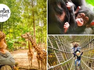 Entree voor DierenPark Amersfoort