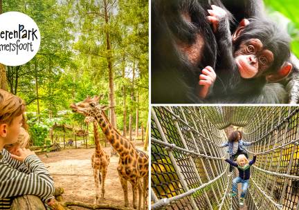 Entree voor DierenPark Amersfoort