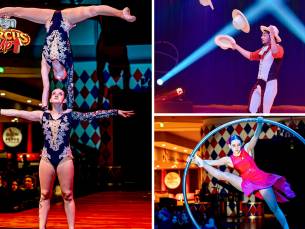 Entree Circus Up! + toegang kidszone