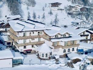 Hotel Alpina