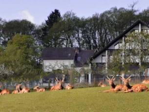 All in Hotel Heiderhof