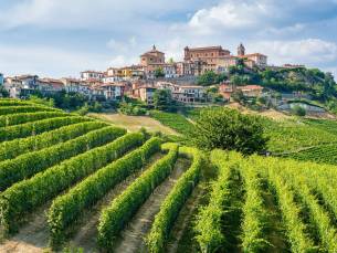 Cultuur en wijn in Piemonte, Mondov&igrave;