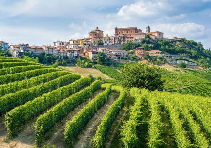 Cultuur en wijn in Piemonte, Mondov&igrave;