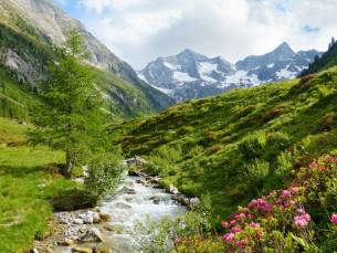 All-inclusive verblijf in de Tiroolse parel: Igls, een charmant dorpje nabij Innsbruck 3-gangendiner + wellness en Welcome Card!