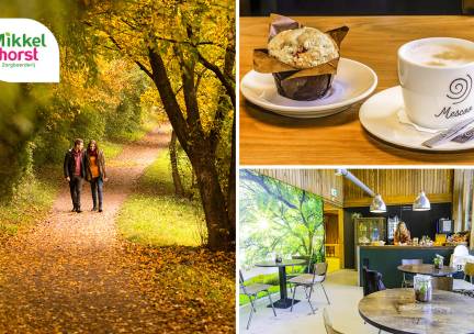 Wandelarrangement incl.warme drank en gebak + 2-gangenlunch