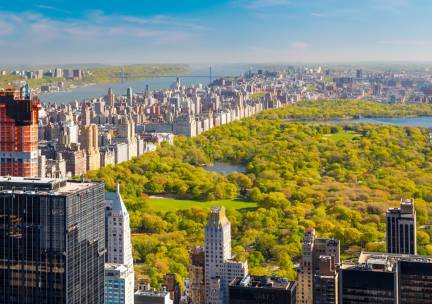 New York & Cape Cod