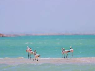De bijzondere landschappen van Oman