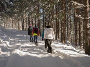 Authentiek charmant hotel gelegen in de Lüneburger Heide incl. ontbijt + GRATIS parkeren
