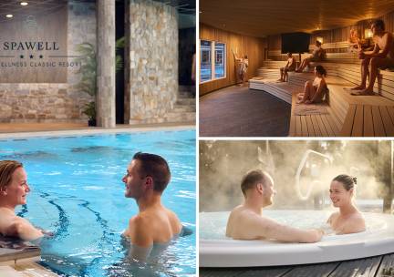 Dag- of avondentree voor SpaWell