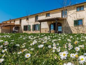 Agriturismo Diacceroni