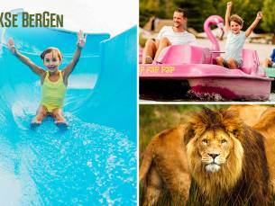 Entree voor Safaripark + Speelland Outdoor Beekse Bergen