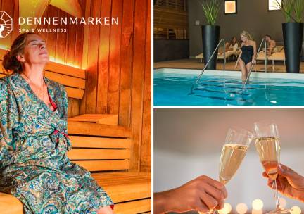 Dag- of avondentree sauna bij Dennenmarken