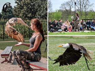Entree Falconcrest Eindhoven
