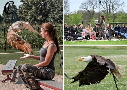 Entree Falconcrest Eindhoven