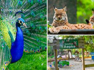 2 entrees voor Kasteelpark Born