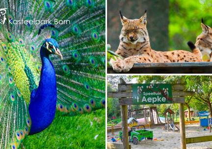 2 entrees voor Kasteelpark Born