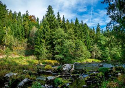 Beierse Woud, Rattenberg