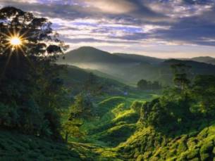 Highlights West-Maleisi&euml;