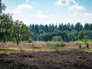 MINIVAKANTIE 3=2 SPECIAL! ???? LUXE hotel aan de voet van de Veluwe in Wageningen incl. ontbijt, bitterballen, sweet treats & RITUALS producten in de kamer!