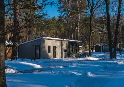 Bos Lodge - 4 personen