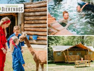 Midweek of weekend weg (voor 3 tot 6 pers.) incl. entree Safaripark Beekse Bergen