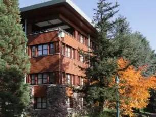 Disney Sequoia Lodge *** - Magisch Arrangement