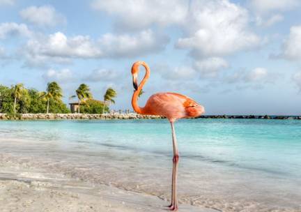 Luxe cruise langs de Nederlandse Antillen o.b.v. volpension of all-inclusive en incl. voorovernachting in Miami of Fort Lauderdale en retourvlucht