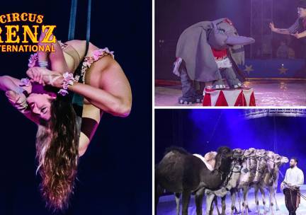 Kerstvoorstelling Circus Renz International
