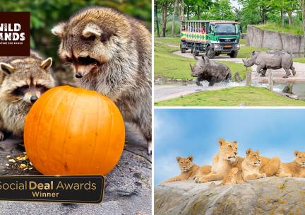 Dagentree voor WILDLANDS Adventure Zoo Emmen