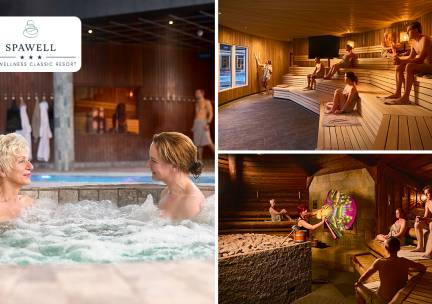 Dag- of avondentree voor SpaWell