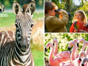 Entree tot Spring Days bij Brook Valley Zoo + drankje + versnapering