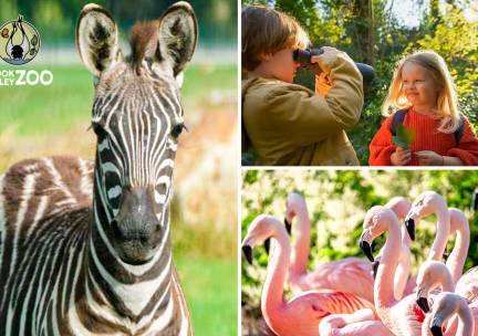 Entree tot Spring Days bij Brook Valley Zoo + drankje + versnapering