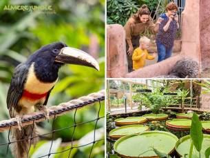 Entree Almere Jungle + hapje en drankje