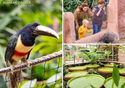 Entree Almere Jungle + hapje en drankje